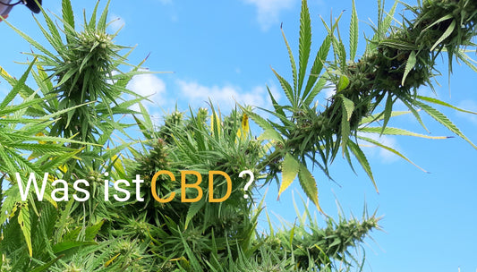 Was ist CBD ?