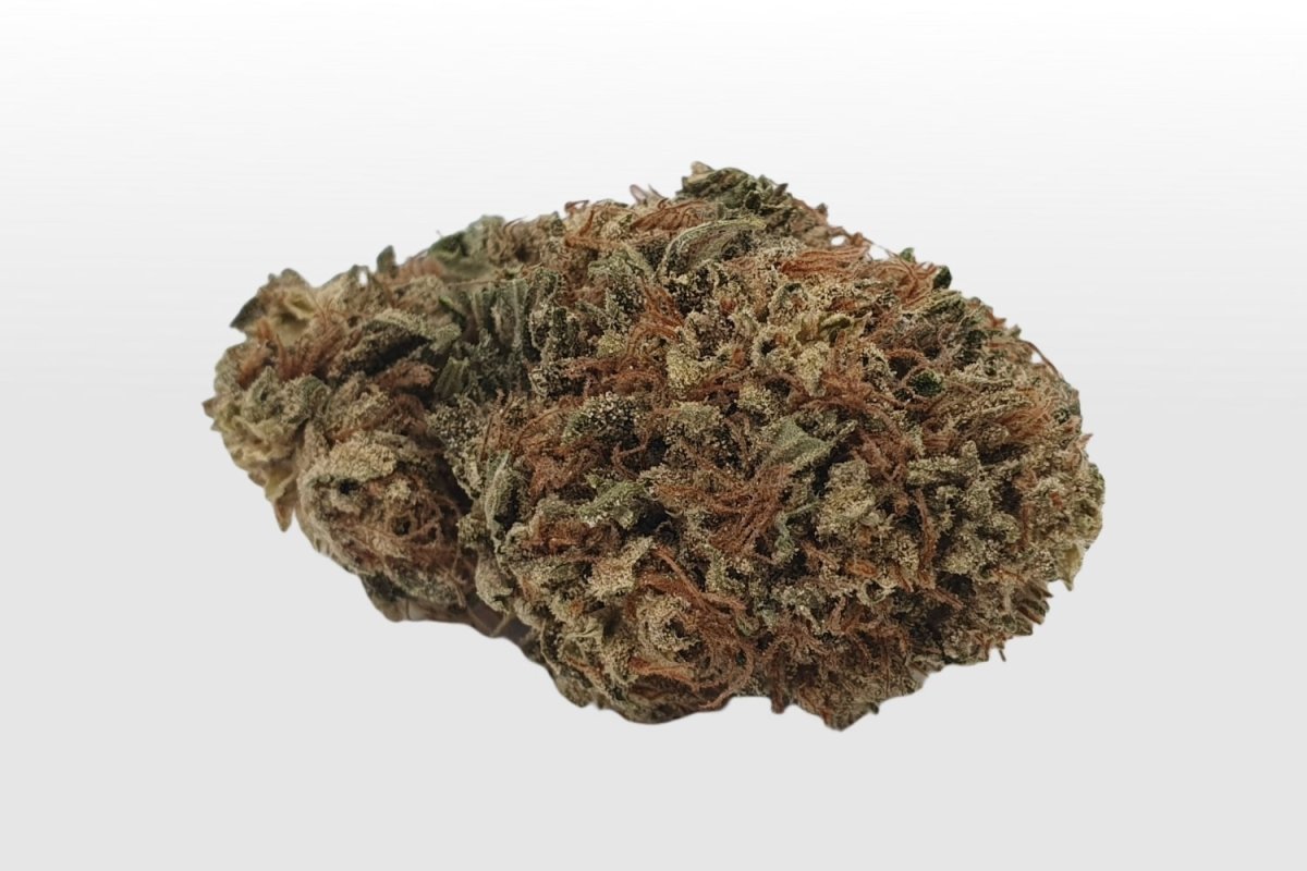 BUFU - Hanf & CBD Shop - CBD-Pollinat - Orange Bud CBG - einzelne Blüte