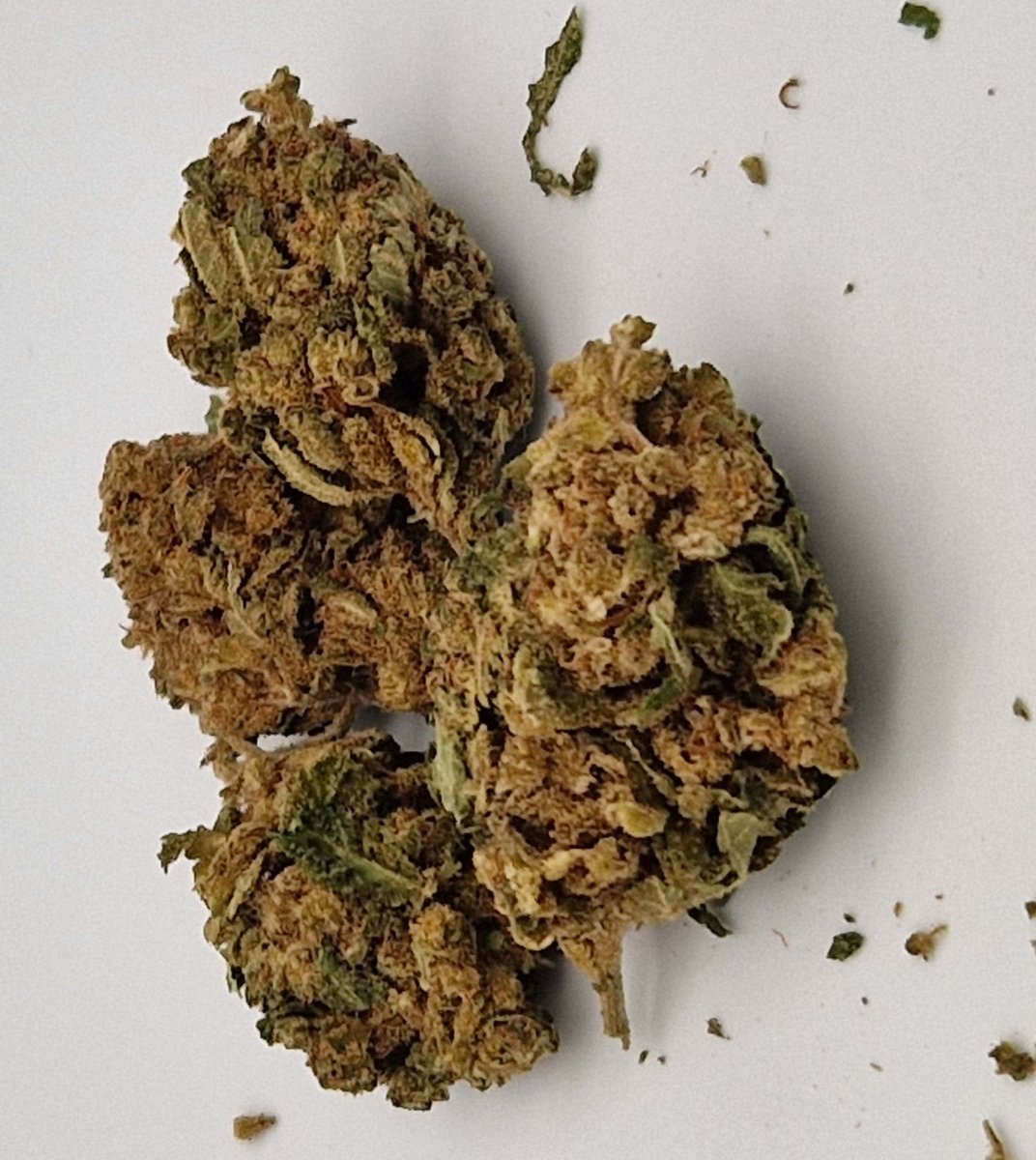 CBD-Blüte Special Sauce – hochwertig & aromatisch