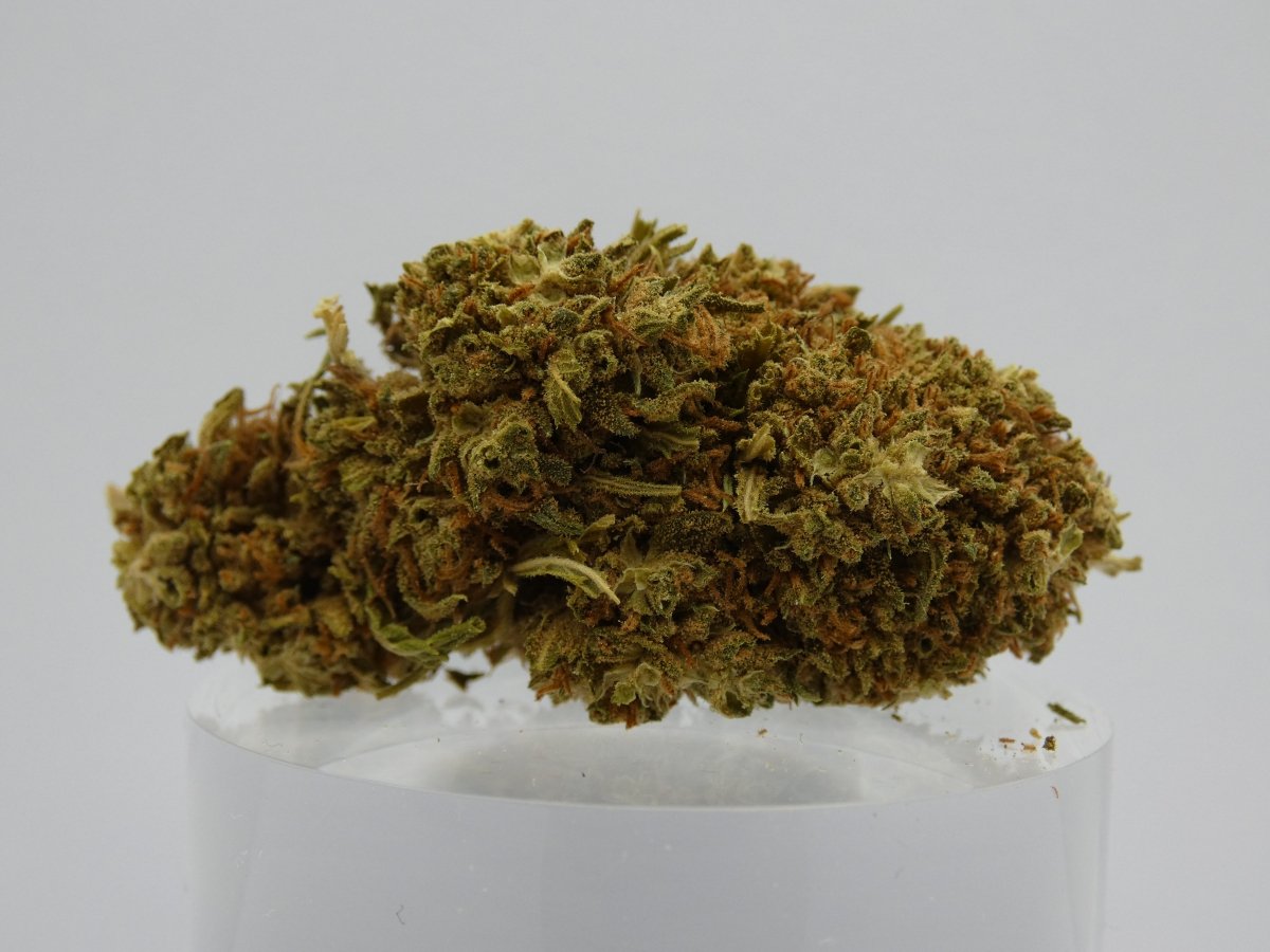 CBD-Blüten Cookies - Foto von einer einzelnen Blüte Cookies