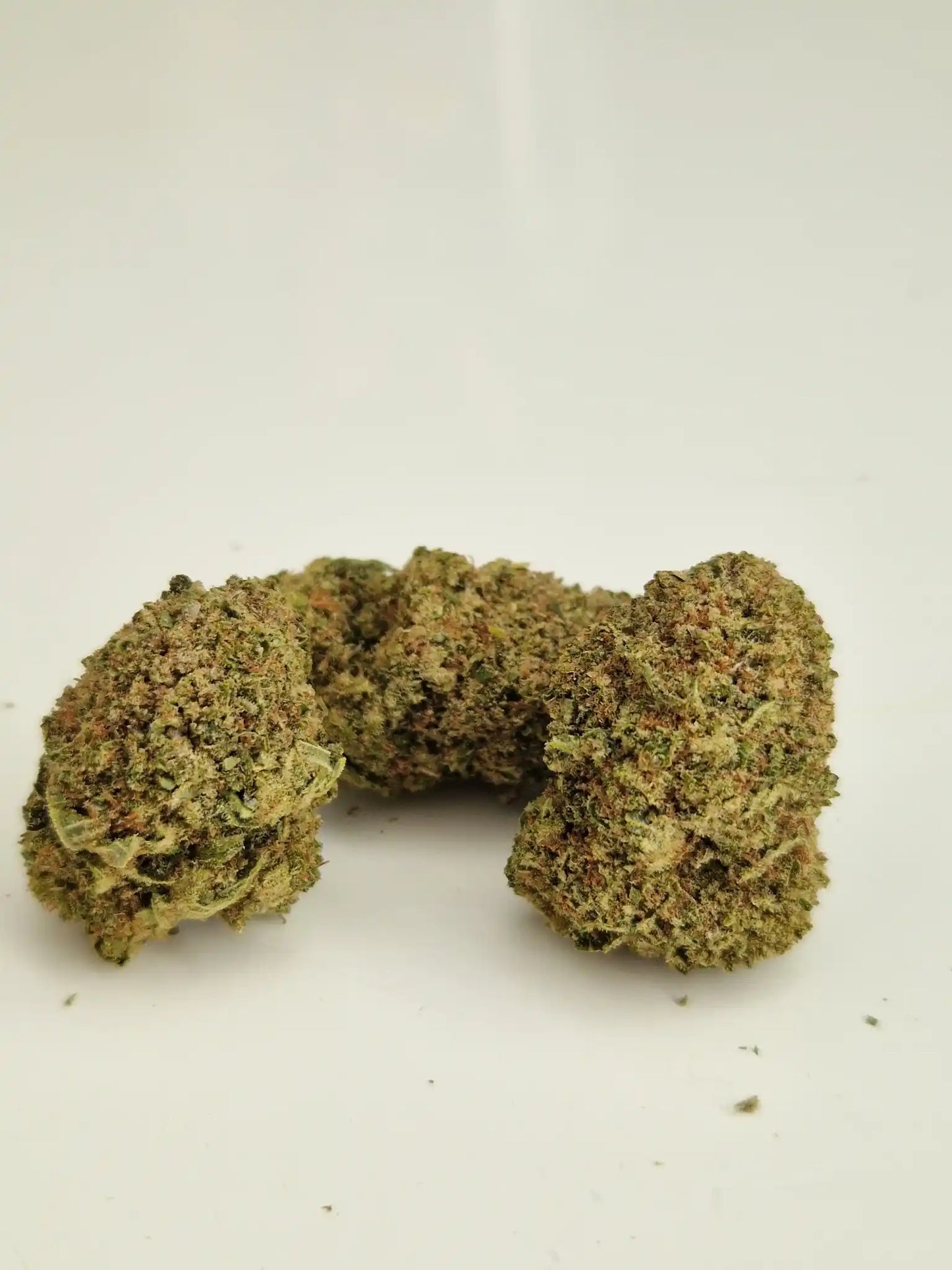 Frontalansicht der CBD-Blüten Mandarin Sherbert von BUFU mit fruchtiger Struktur.