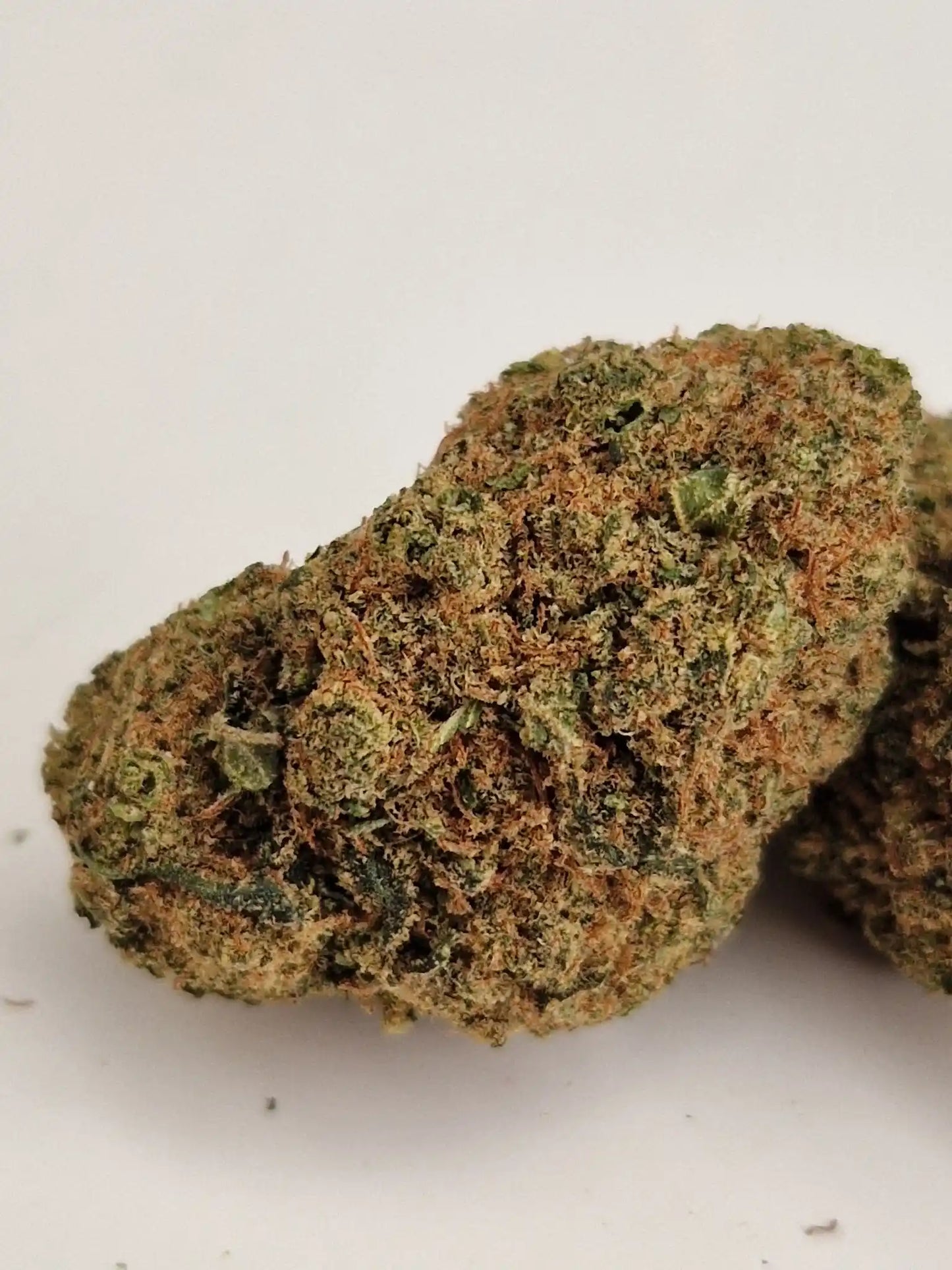 Detaillierte Aufnahme der Sorte Mint Kush – grün-orange Farbton mit dichter Struktur.