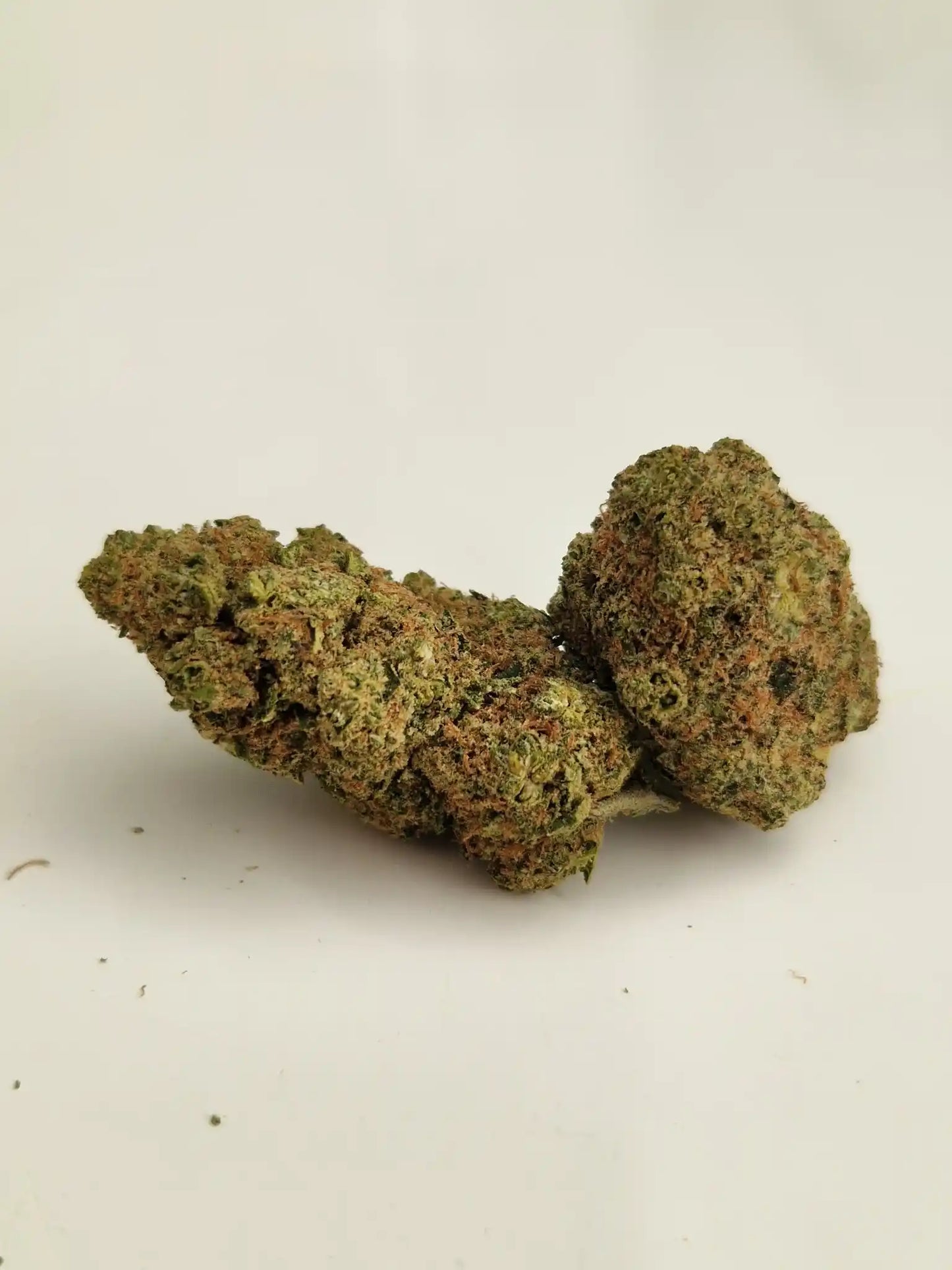 Nahaufnahme von zwei CBD-Blüten der Sorte Platin OG von BUFU – kompakt und naturbelassen.