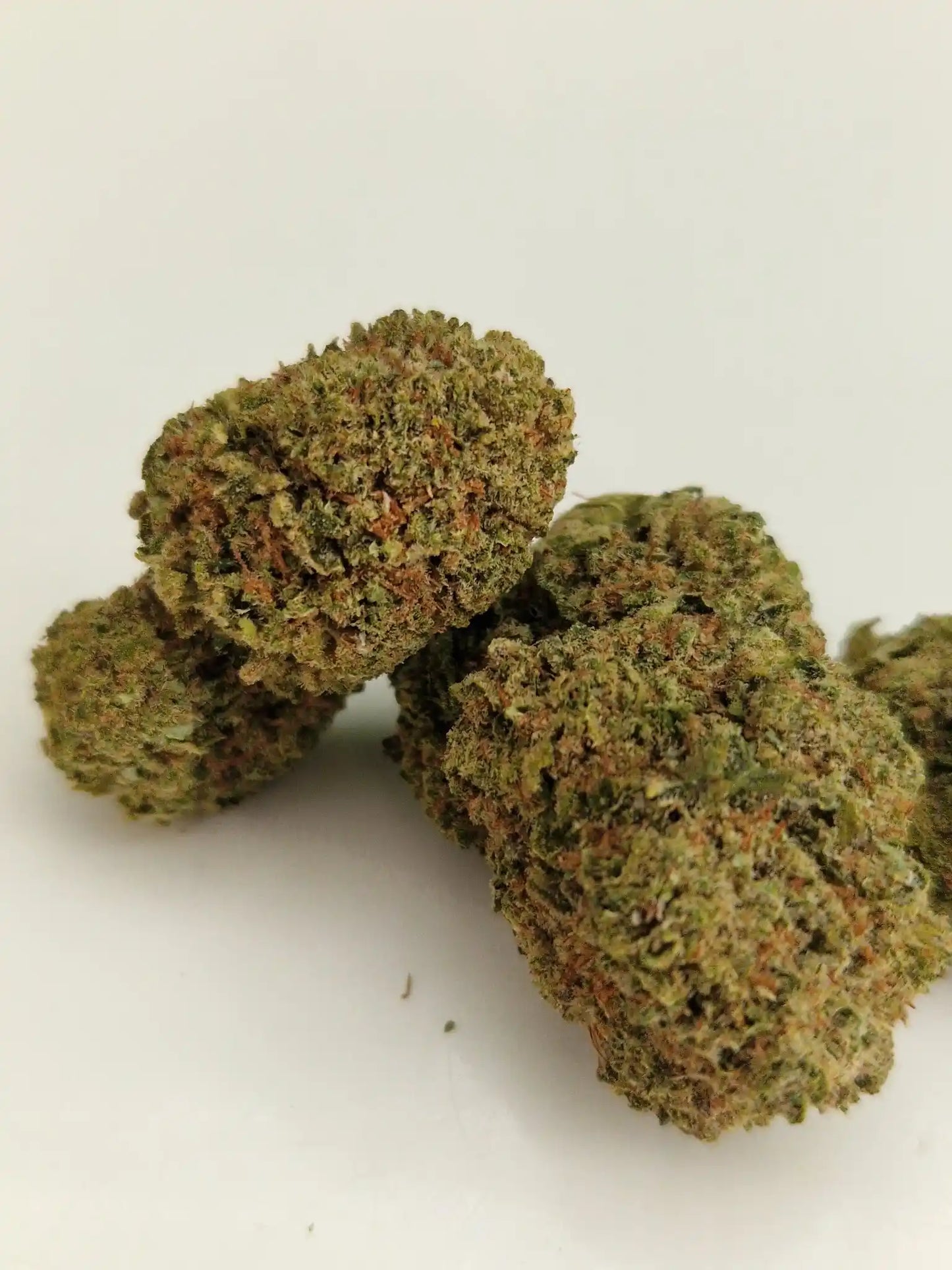 Vorderansicht von Trainwreck CBD-Blüten – erdig-würziger Look mit klassischer Dichte.
