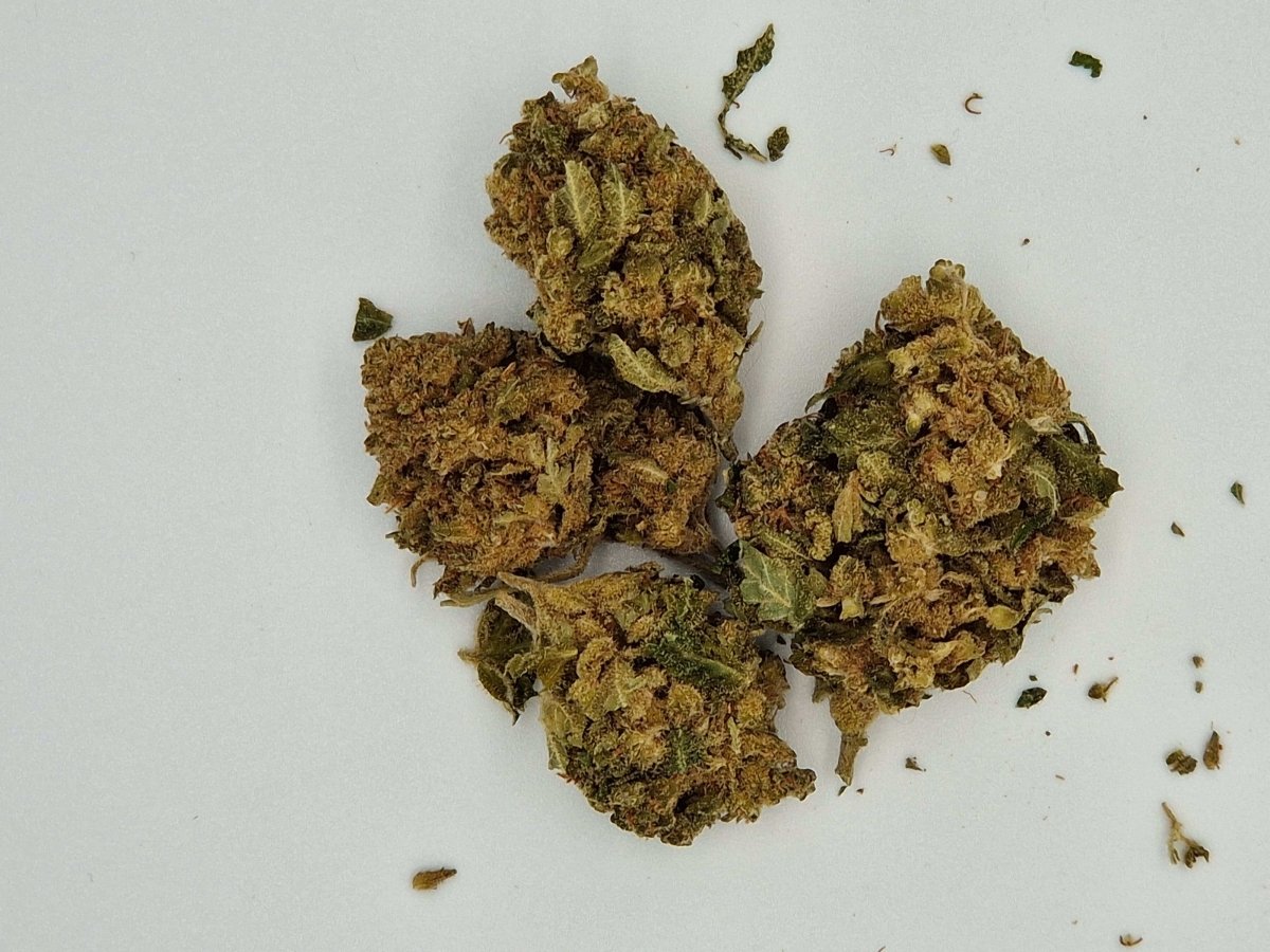 CBD-Blüten Special Sauce 5g – natürliche Detailaufnahme