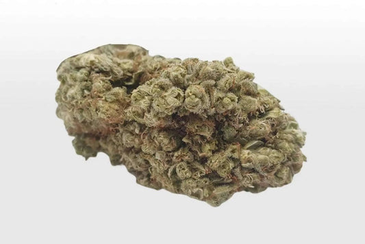 Pineapple Express Frozen – aromatische CBD-Blüte