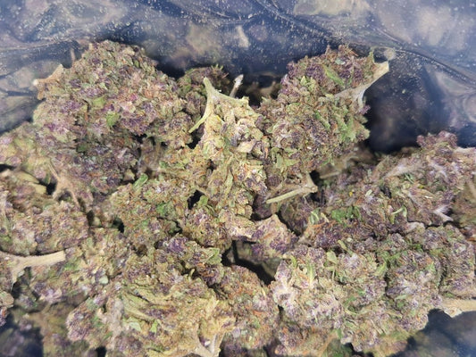 CBD-Blüten der Sorte Aladin Purple Kush im geöffneten Beutel mit kompakten, strukturierten Buds.