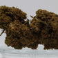 BUFU CBD Shop - Produktfoto 1 Strawberry Light CBD-Blüte