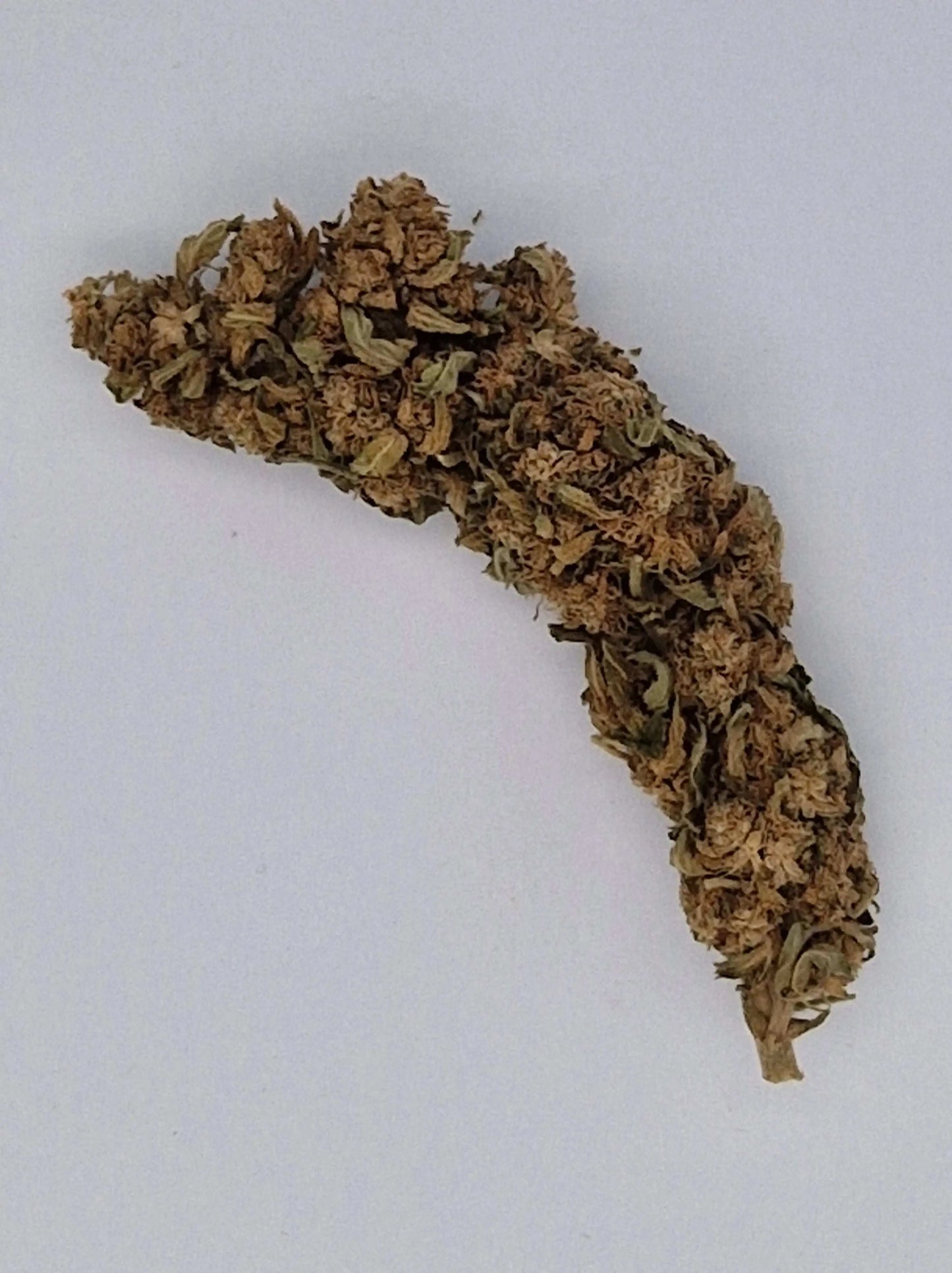 Getrocknete CBD-Blüte in länglicher Form mit hellbraunen und grünen Farbtönen auf weißem Hintergrund.