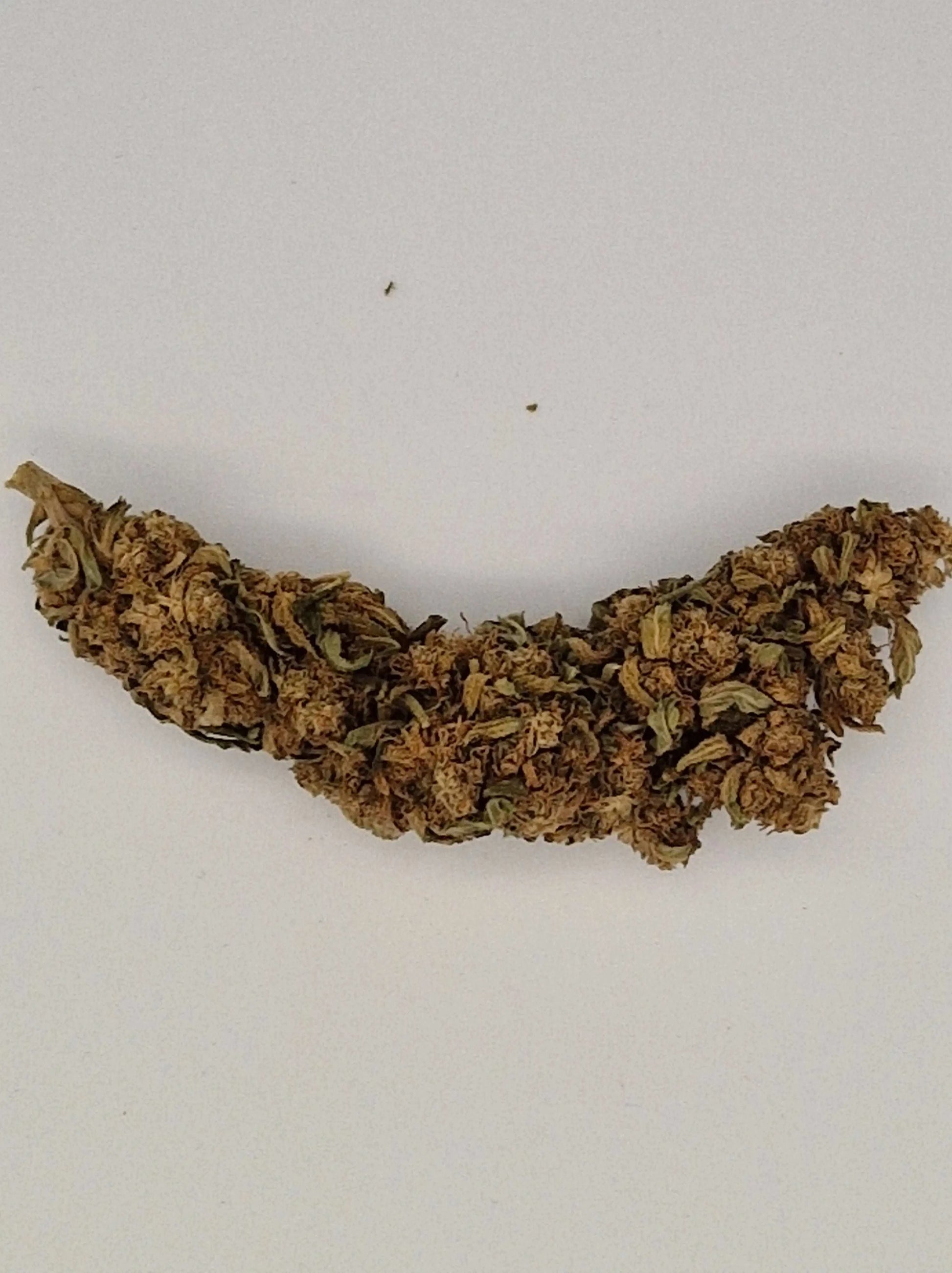 Getrocknete CBD-Blüte in länglicher Form mit hellbraunen und grünen Farbtönen auf weißem Hintergrund.