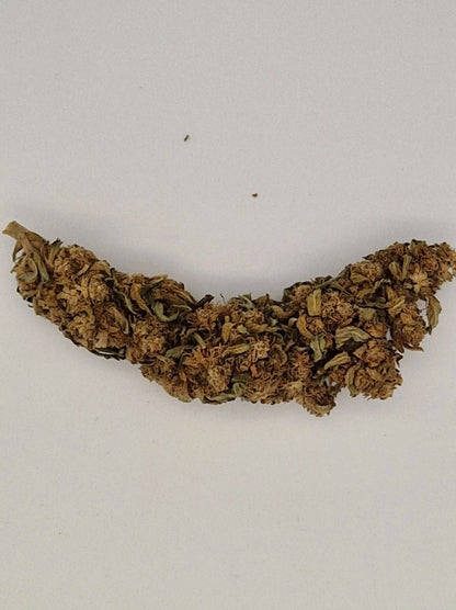 Längliche CBD-Blüte auf weißem Hintergrund