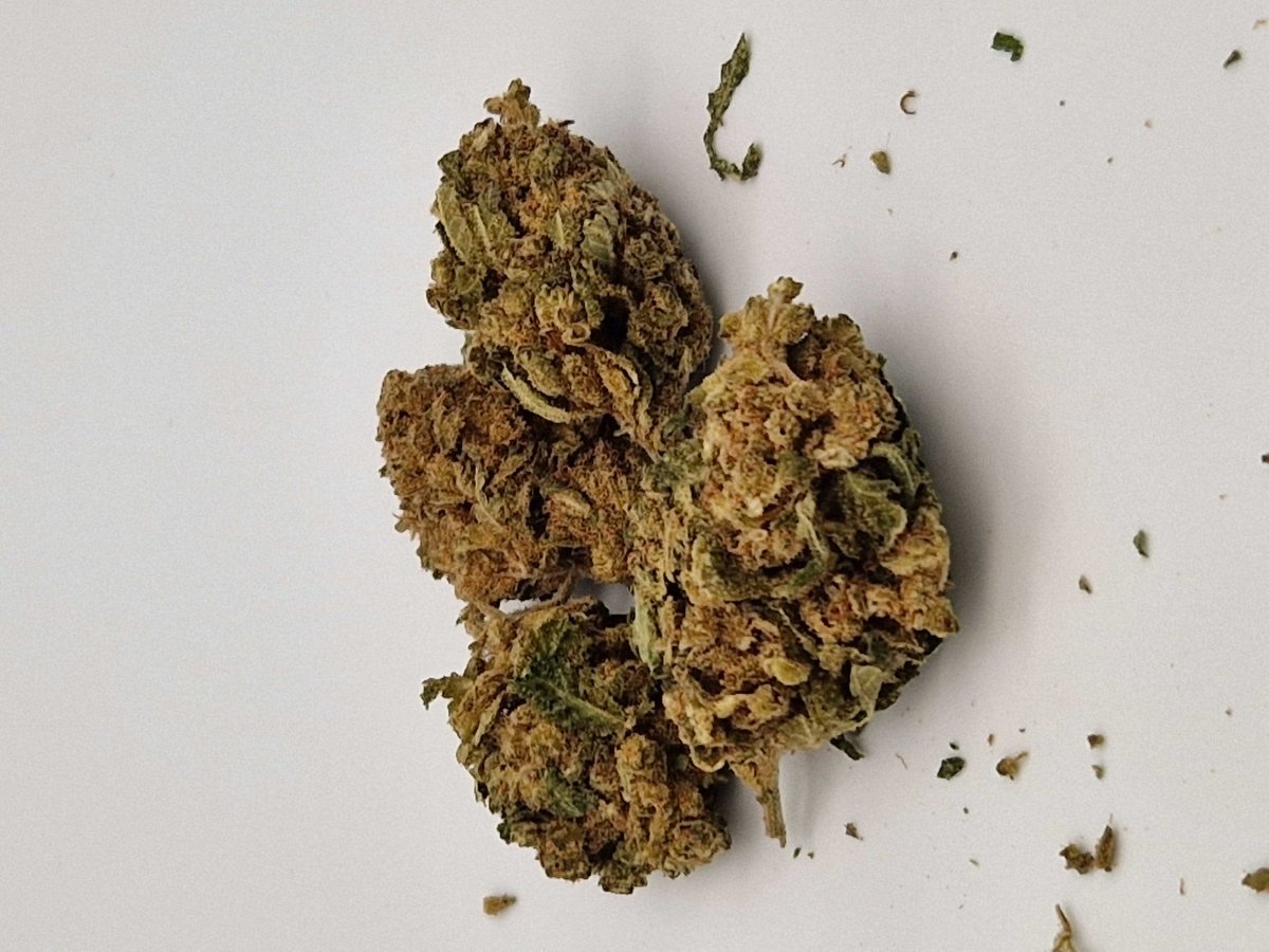 BUFU_CBD_Shop_-_CBD-Blueten_Special_Sauce_Bluetenbild_vom_Produkt_3
