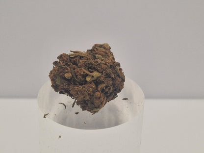 Russian Roulette CBD-Blüte auf Ständer in Nahaufnahme