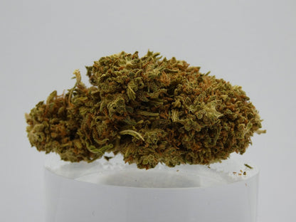CBD-Blüten Cookies - Foto von einer einzelnen Blüte Cookies