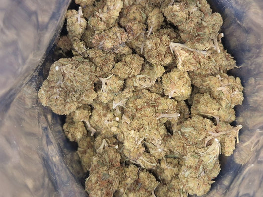 CBD-Blüten der Sorte Limoncello im geöffneten Beutel mit mittelgroßen, strukturierten Hanfblüten.