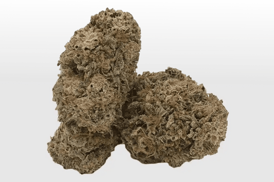 BUFU - Hanf & CBD Shop - CBD-Pollinat - Orange Bud CBG - mehrere Blüten 