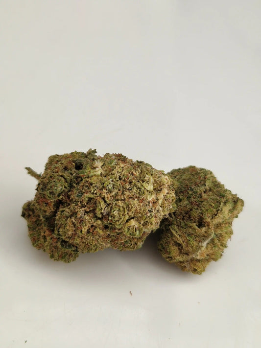 Aufnahme der edlen Dom Perignon CBD-Blüten – dichte Struktur und Harz.