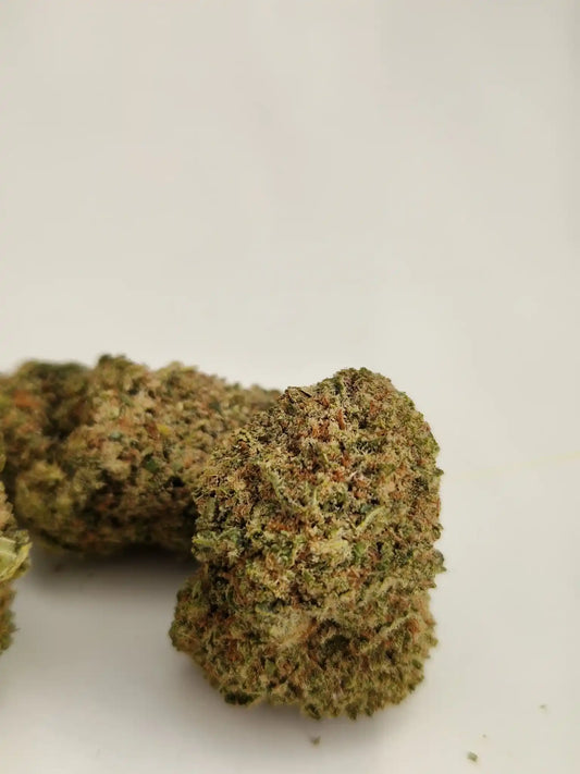 Detaillierte Nahaufnahme von Mandarin Sherbert CBD-Blüten – kompakt und trichomreich.