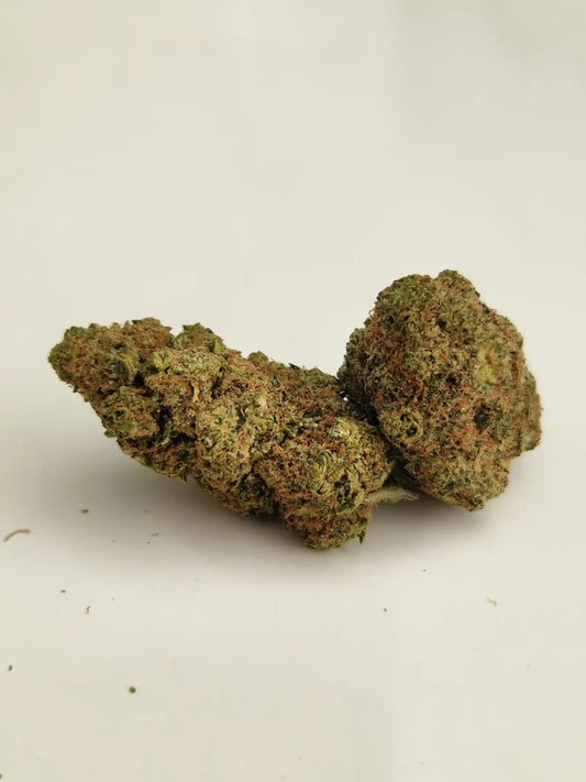 Nahaufnahme von zwei CBD-Blüten der Sorte Platin OG von BUFU – kompakt und naturbelassen.