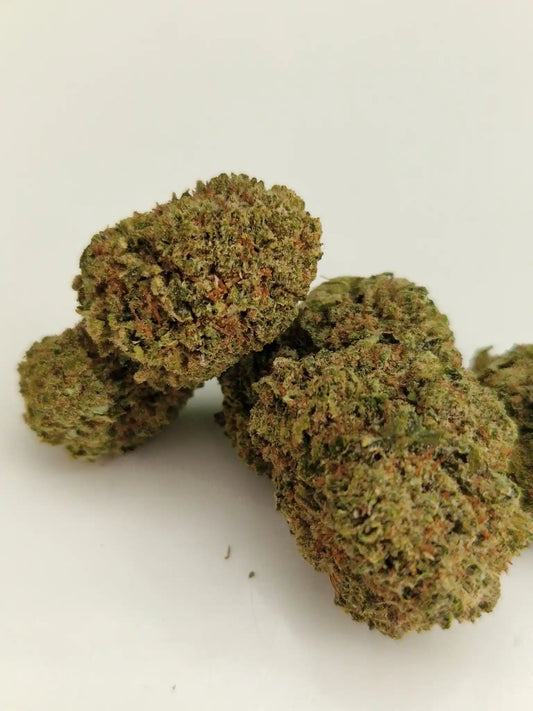 Vorderansicht von Trainwreck CBD-Blüten – erdig-würziger Look mit klassischer Dichte.