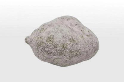 Iced Rocks